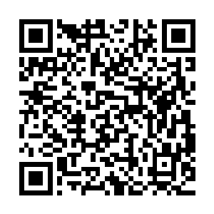 不过还是按照无良大叔的话将自己胖乎乎的双手按在了轮盘上二维码生成