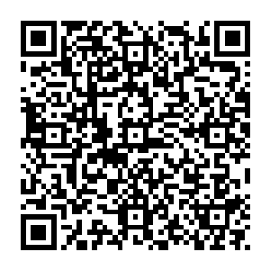 不过这一幕却硬生生的出现在了龙傲天的还有小金的面前这根本由不得他们不相信二维码生成