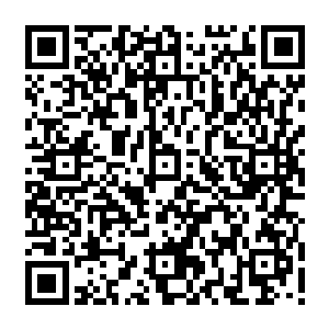 不过这一段由树枝所化的精灵古神树总共在吸收了十几名圣弃界圣帝的全部生机之后二维码生成
