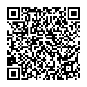 不过这东西是金属制成的而是带着巴掌长的两根倒刺连接尾部的绳索也是纤维的二维码生成