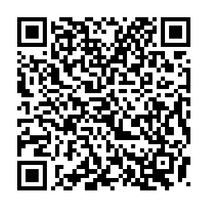 不过这两拳的试探也让我是更加坚信了用引火符灭了这个粽子的想法二维码生成