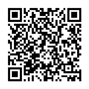不过这个数目在见惯现金流动的赌场侍者眼中也算不得什么二维码生成