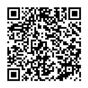 不过这也仅仅是引起了圣灵王和四十余名源境界强者稍微的关注了一下而已二维码生成