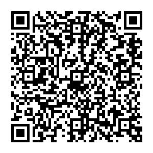 不过这些人注定要伤心了 就在他们抵达佣兵之城的时候 他们就听到了一个让人心碎的消息二维码生成