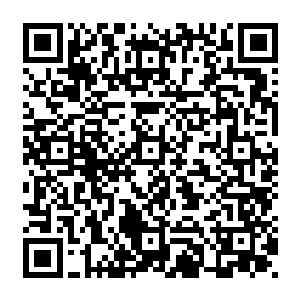 不过这些人都没想到代离此刻琢磨着的是自己得抽时间服用之前让白书堂收取的海量灵血二维码生成