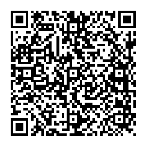 不过这只是想象 他现在还沒有正式的突破的突破黑僵 但全身却是已经开始蜕变 他化作了僵尸模样二维码生成