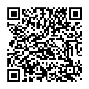 不过这巨木在这黑暗精灵木系力量的支撑下也拥有了强大的再生能力二维码生成