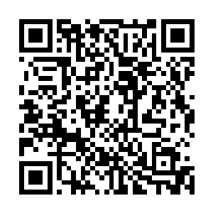 不过这看似雷霆般的一击却只砍断了巨熊肚皮上的一些毛发二维码生成