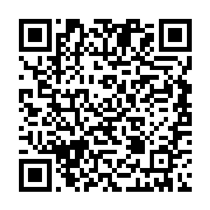 不过这种暴动的结果只是送上门去让洗月派的人屠宰二维码生成
