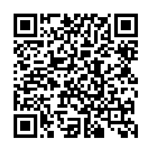 不过这群虎鲸组成的捕猎队伍确实是不负海中霸王的盛名二维码生成