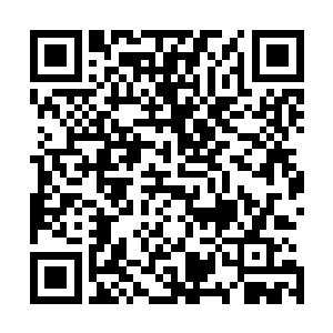 不过这血眼的出现使得血煞组织的强者一个个犹如痴呆了般二维码生成