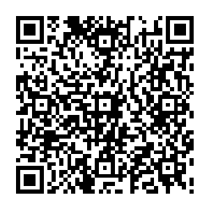 不过通过了第五轮的第十一名到第三十名这些人在会成为各脉最受重点栽培的对象二维码生成