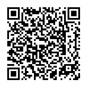 不过那一双满含沧桑的双眼正一瞬不瞬的盯着对面看不清面庞的还真太尊二维码生成