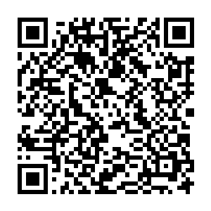不过那个兽族的人身上有不知从何处得來的一套被本源之力锤炼过的羽衣和兵器二维码生成