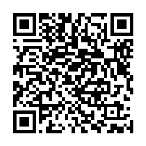 不过那些水母已经和他的狗崽被他之前的愤怒自爆给全灭了二维码生成
