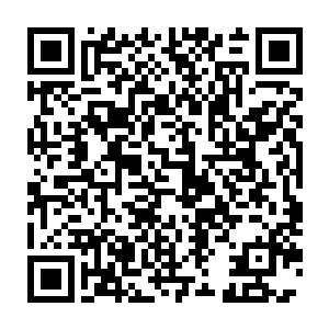 不过那急切地抓过杯子将黏稠猩红的鲜血往惨白的小嘴里倒的样子二维码生成