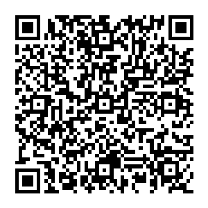 不过那紫色的光幕仿佛牢牢的将他锁定一般无论血狱之主如何的挣扎他都没有办法逃脱那灰色的火焰的笼罩二维码生成