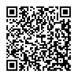 不过那门前的两名警卫在见到林辰的瞬间浑身却是不由自主的哆嗦了一下二维码生成