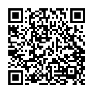 不过都是一路人罢了……都是一样可怜……所以我们一起去死吧二维码生成