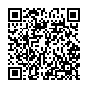 不过金羽白鹤现在的境界和金羽等级已经可以修炼了二维码生成