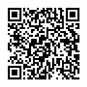 不过马上他们就看到了这厮拿出一把类似琵琶一样的物件二维码生成