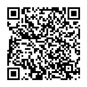 不过黑着脸把被流墨墨弄伤的位置修复好后的敖飞华却是直接在原地说明二维码生成