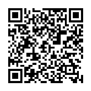 不过龙墟界域的各大宗门却从未停止从小玲珑世界招揽人才二维码生成