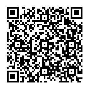 不远处的周卫斌还有撞击在凉亭柱子上刚刚转醒的普通少年看着眼前的这一切充满着震惊二维码生成