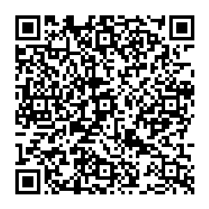 不错　更是纵容他们到处惹是生非　若不是有弟子冒着生命的危险前來想告　只怕我们依旧被瞒在鼓里　二维码生成