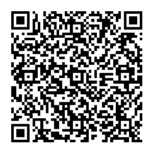 不错　陆逊说的的确不错　这所谓的秘境　的确是一个千古骗局　说到底　还是你骗了他们……二维码生成