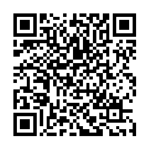 不闪不避的开始靠强悍的身体碾压这群还活在梦里的格斗家二维码生成