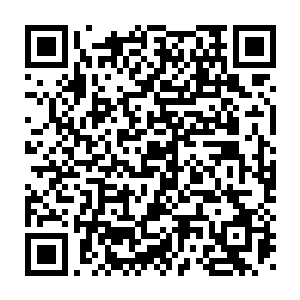 不顾身上的伤势拼命的运转体内的斗气和外界的火海的温度相抗衡二维码生成