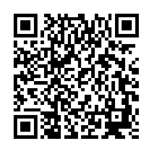 与他们刚来时见到的略显冷淡的她相比完全是天翻地覆的差别二维码生成