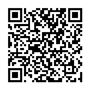 与你们一起飞升上界的韩珊珊已经给暂时控制起来了二维码生成