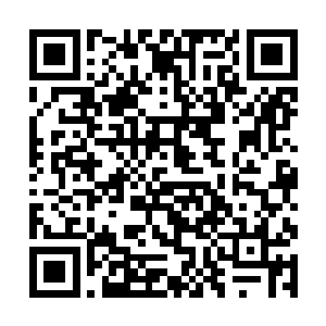 与凌霄城升仙台两位修士飞升的时间相差不多的时刻二维码生成