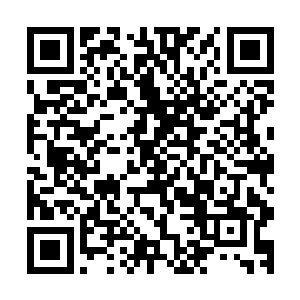 与塞外货物的交易便已经成为了支持家族产业的一根巨大支柱二维码生成