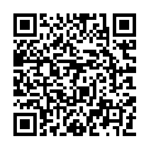 与此同时他使用巨爪直接挡住了身后的寒芒攻击二维码生成