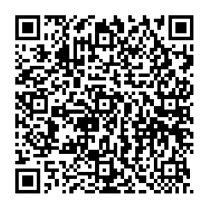 与此同时公司内部也已经知道了昨天晚上林风在天启拍行举行的一次拍会上打击了隆盛房地产公司二维码生成