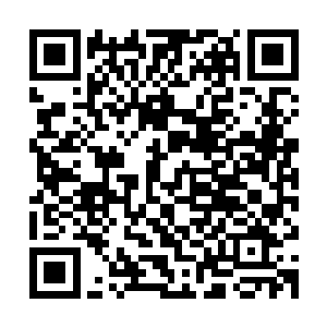 与珍妮弗没什么交情的他不愿在公开场合太过热情地称赞珍妮弗二维码生成