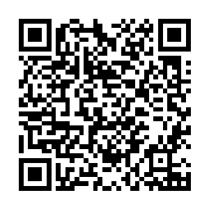 与神农银行向欧洲金融监管委员会上报的情况大致相同二维码生成