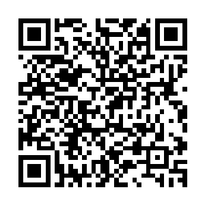 与这悲惨的生活相对比的是贝拉在赵诗文家过得倒是挺不错的二维码生成