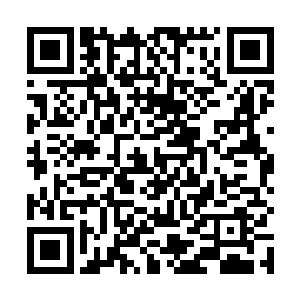 与那宇宙星舰和蓝星号的速度根本不在一个档次的树心二维码生成