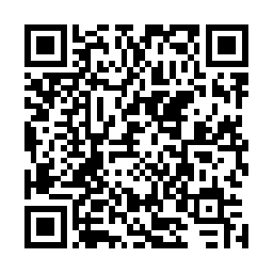 专门为陆朝歌服务的办公室副主任却不能得到陆朝歌的信任二维码生成