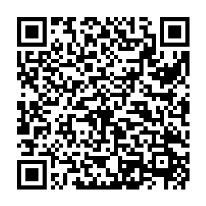 专门攻击张铁膝盖以下的部位……作为吸引张铁注意力的野狼总是高高跃起二维码生成