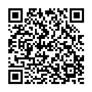 且一团殷红的血水从海底泛了上来……偶尔会有几片衣服的碎布二维码生成