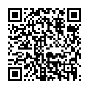 且同时成为今年国内票房排行榜的第二名它距离第一名二维码生成