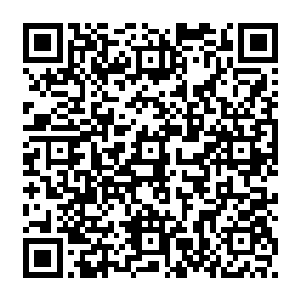 且是世界树的分支……炼制青龙丹需要的最重要的一个主材是已经绝迹了的青龙木二维码生成