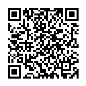 且说在远处山峰的掌门三人在梓箐离开的时候他们也跟着出来了二维码生成