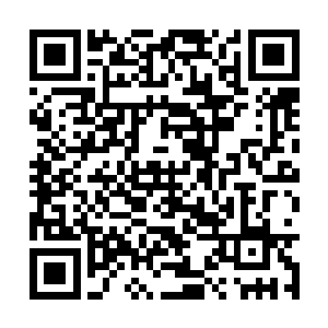 且轻轻松松的就击破了神葬修罗外部的防御罡气了二维码生成