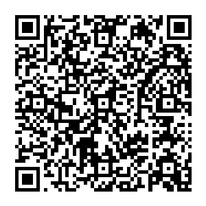 且邻国利比亚和马里的恐怖组织对覆盖尼日尔的西部大片区域的萨赫勒地区安全形势造成严峻挑战二维码生成